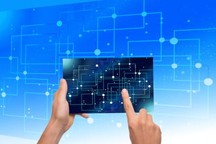 mk体育网址-中国篮球青训体系教练员能力评估与发展规划，篮球教练员素养