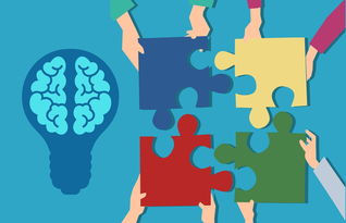 体育mk-青少年运动损伤防护知识普及策略及效果评估，青少年运动损伤防护知识普及策略及效果评估